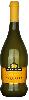 Prosecco Frizzante